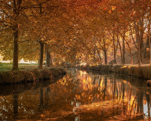 Persona disfrutando de un café y una pausa activa en un parque de la Ciudad de México